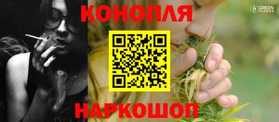 гидра Славгород
