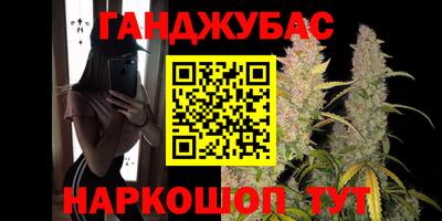 гидра Славгород