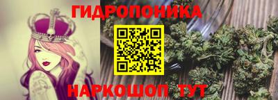 каннабис Сланцы