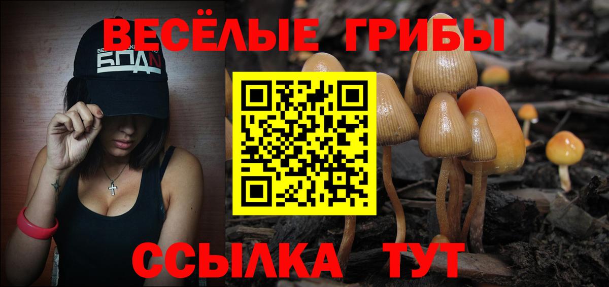 Псилоцибиновые грибы мицелий  Вход с VPN  Осинники 